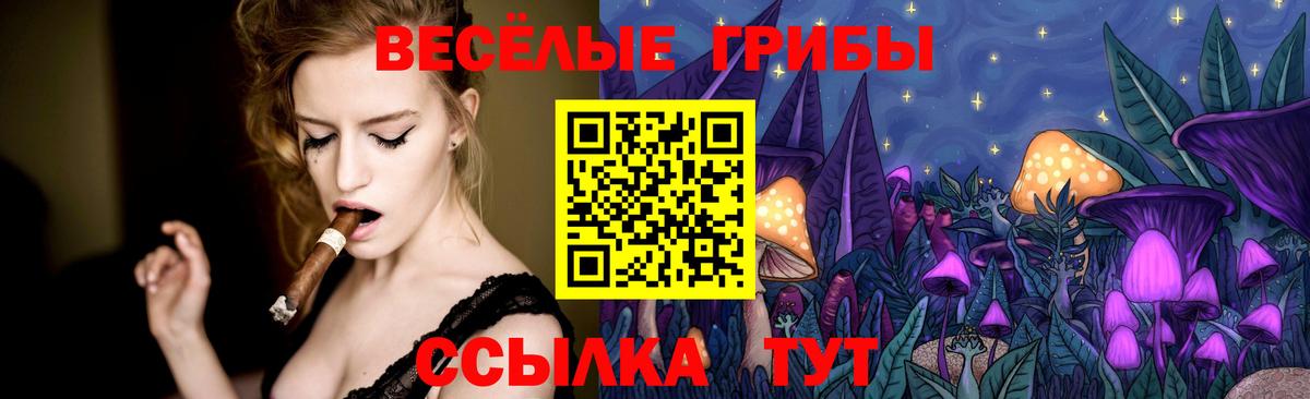 Гурьевск  купить закладку  Галлюциногенные грибы мицелий  Вход с VPN  Галлюциногенные грибы мухоморы 